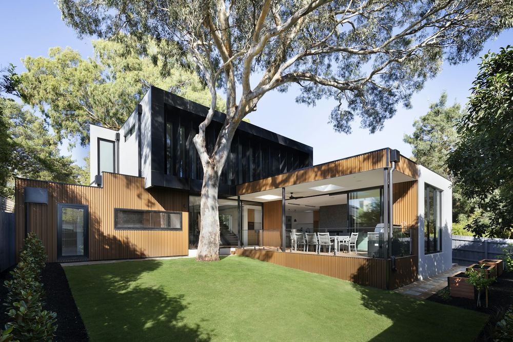 Cedar House - timber and black clad family home
